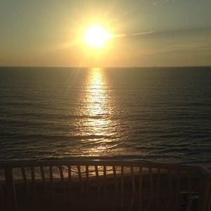 Meet your Posher, Nora